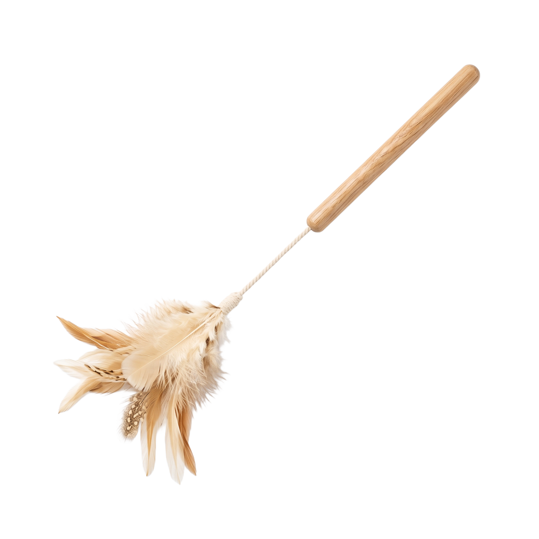 Feather Wand