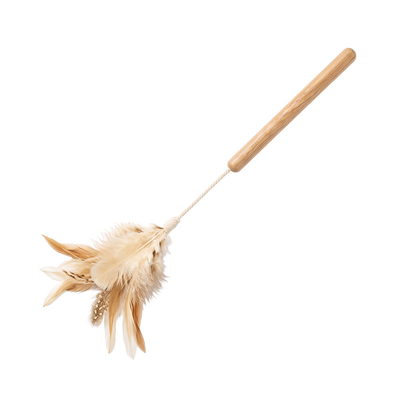Feather Wand